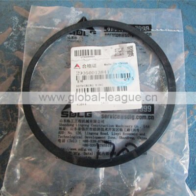 Locking ring (steel) 29050013841