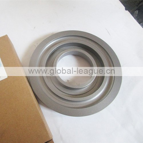 Piston cat 29050013881