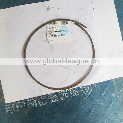 Ring sealing piston checkpoint (rubber) 29050014571