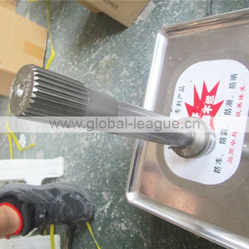 29050015561 Shaft hublets of GTR