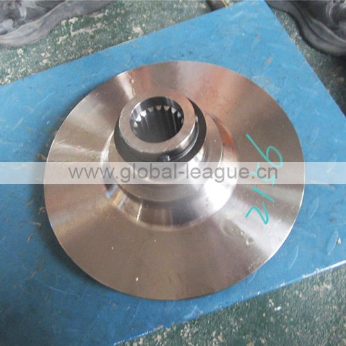 Flange checkpoint 29050021561