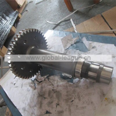 Shaft gear
