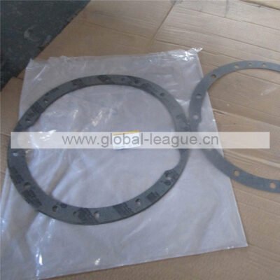 36400100062 Paper gasket