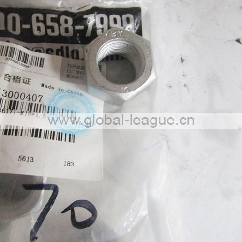 4013000407 Wheel nut (steel) 4013000407