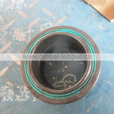 4021000042 Sliding bearing ge60 4021000042