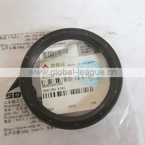 Salnik checkpoint (metal filled rubber) 4030000595