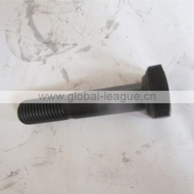 Mat tooth fixing bolt (steel, square head, threaded) 4040000011