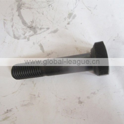 Mat tooth fixing bolt (steel, square head, threaded) 4040000011