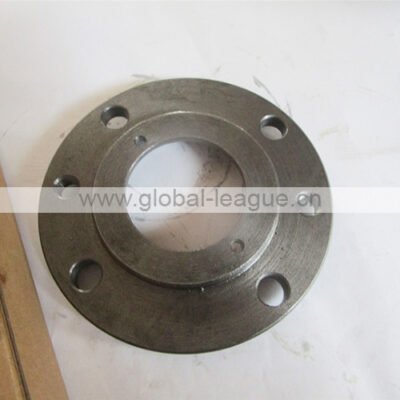 Shaft cover checkpoint 4110000038116