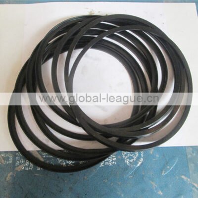 Sealing ring (rubber) 4110000038187