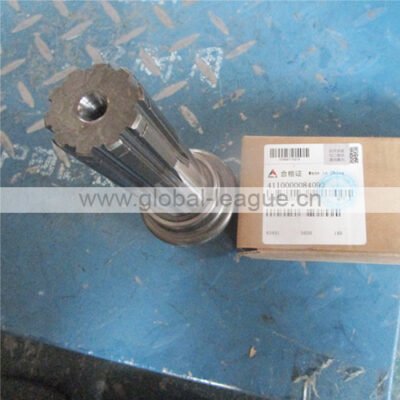 Pump drive shaft 4110000084092