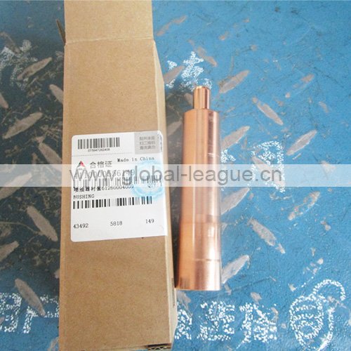 Glass of nozzle 4110000556149