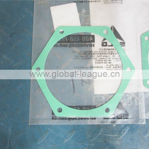 Water pump gasket 4110000556189
