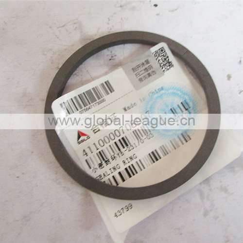 4110000708007 Sealing ring (rubber) 4110000708007