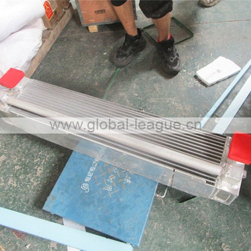 Radiator 4110002025002