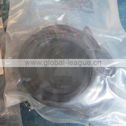 Piston ring support 4110002988003