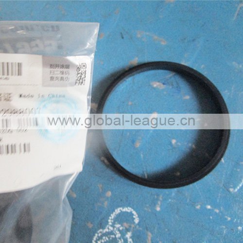 4110002988007 Sealing ring support4110002988007