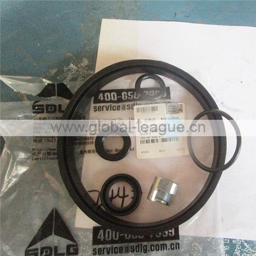 4120000675074 Sealing rings (rubber) 4120000675074