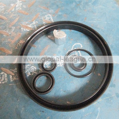 4120006349003 Sealing rings (rubber) 4120006349003