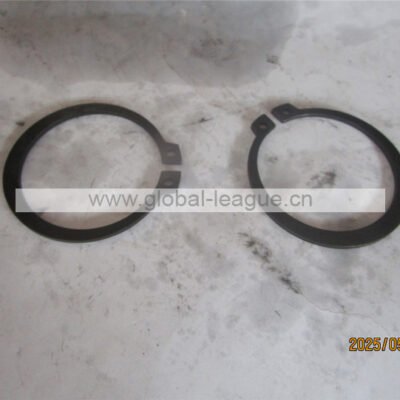 Retainer ring