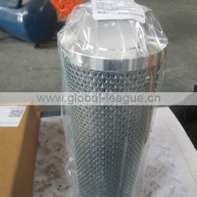 Pilot filter element