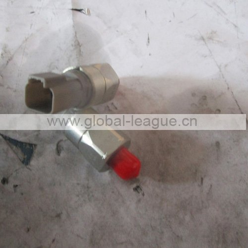 Water temperature gauge