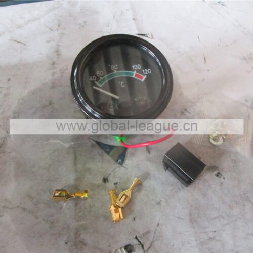 Water temperature gauge