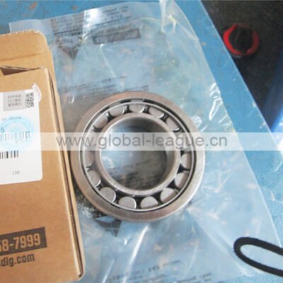 GTP bearing (roller cylindrical) 7200001477