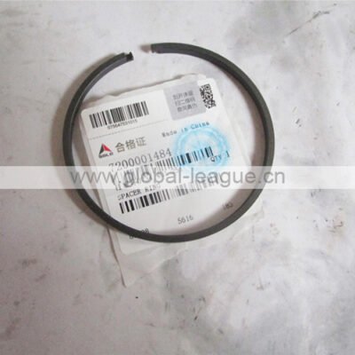 7200001484 Ring GTP 7200001484