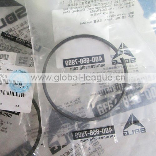 7200001566 Sealing ring