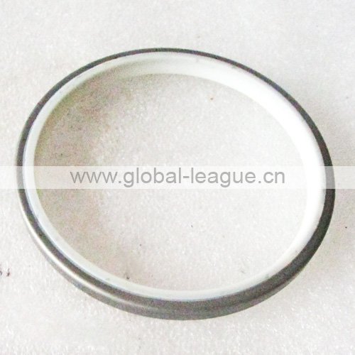 KPU100115080 Dust Seal