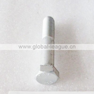 805006284 GB/T5783-2000 bolt M20*110 10.9 (Dacromet)