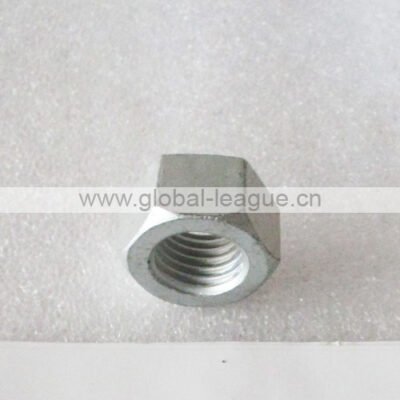 GB/T6170-2000 Nut M24 10 (Dacromet)