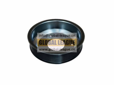 Water pump pulley 202V06503-0385