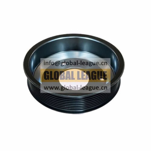Water pump pulley 202V06503-0385