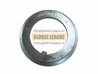 Lock nut washers and lock plates WG2229040310