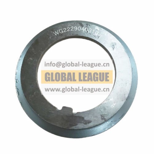 Lock nut washers and lock plates WG2229040310