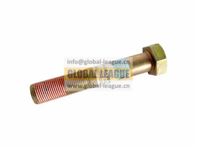 Hexagon head bolt M24_2_140  06.02839.0012
