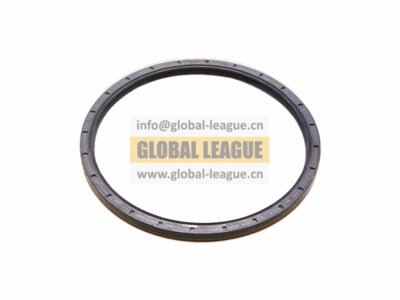 Oil seal  06.56289.0366