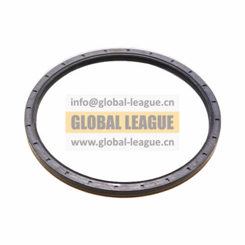 Oil seal  06.56289.0366