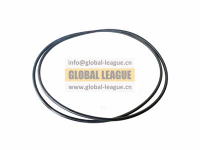 O-ring  06.56341.3271