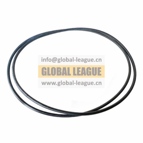 O-ring  06.56341.3271