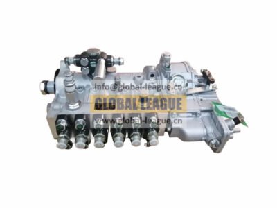 Fuel injection pump assembly  1001671519