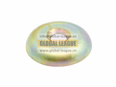 Front support ring  116100430019