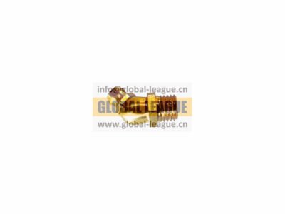 Metric Tapered Thread Grease Nipple  190003963114