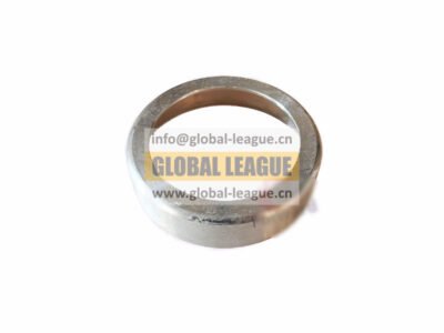 Shaft sealing ring housing  199000410107