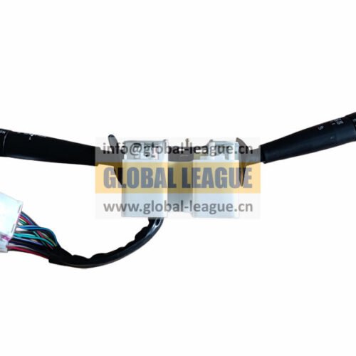 Combination switch  1B24937300135