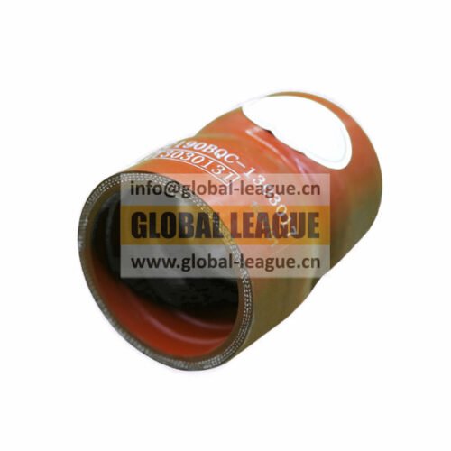 Radiator connection hose  2190BQC-1303017