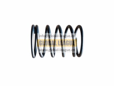 Cylinder spring  2913700300