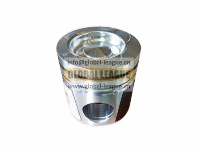 Piston  612600030017